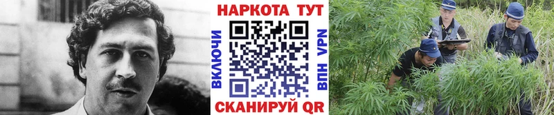 Купить закладку Галлюциногенные грибы СК Гашиш АМФЕТАМИН Меф COCAIN Жуковка