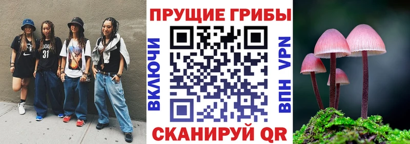 Купить  Жуковка  Галлюциногенные грибы GOLDEN TEACHER 