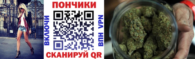 Шишки марихуана THC 21%  Купить закладки  Жуковка 
